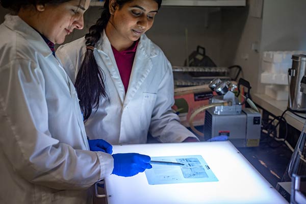 supervision-of-biomedical-research-in-laboratory_t20_LOoB11
